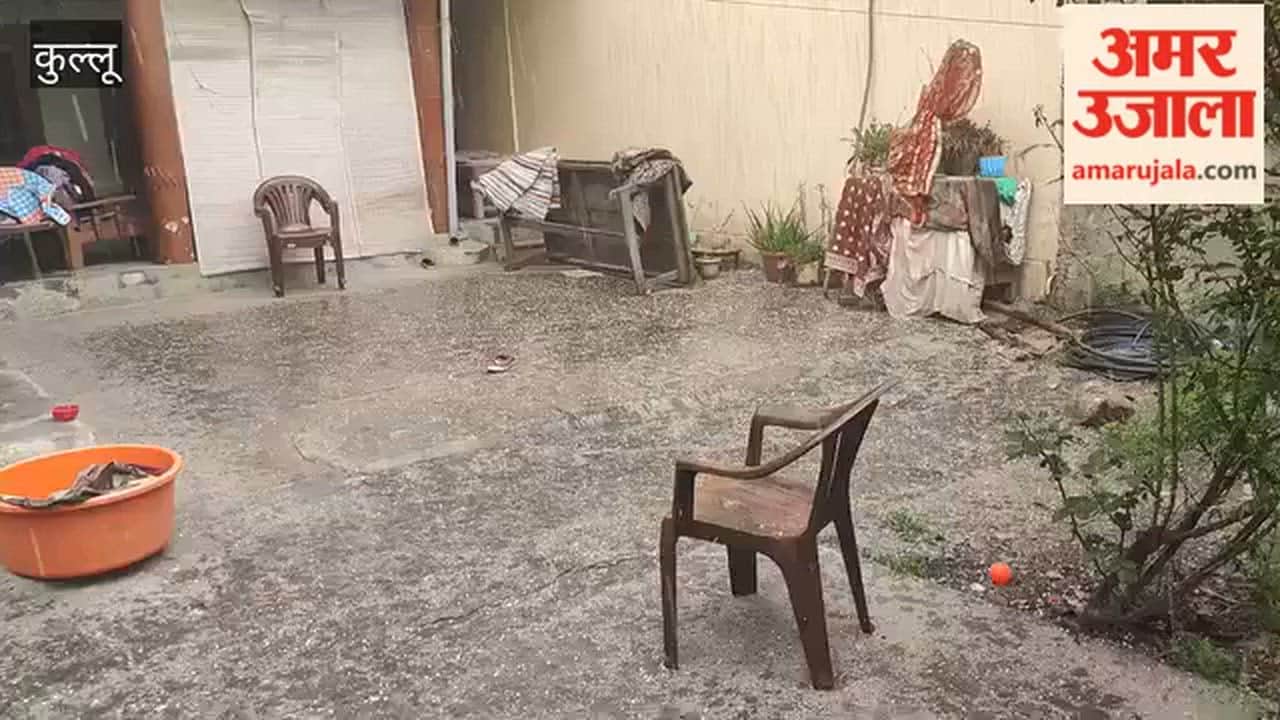Kullu Hailstorm in Bhuntar damage to plums