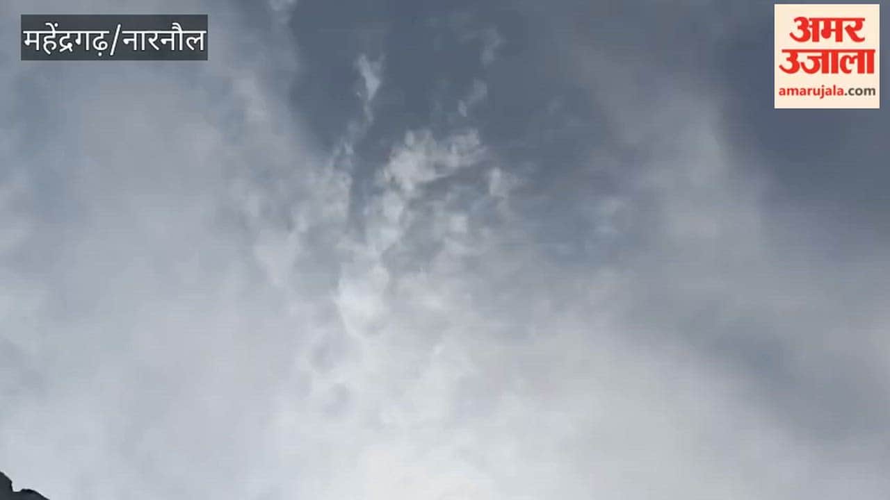 Light rain, dust storms, and isolated hailstorms are likely in Narnaul over the next 24 hours; a Yellow Alert has been issued.