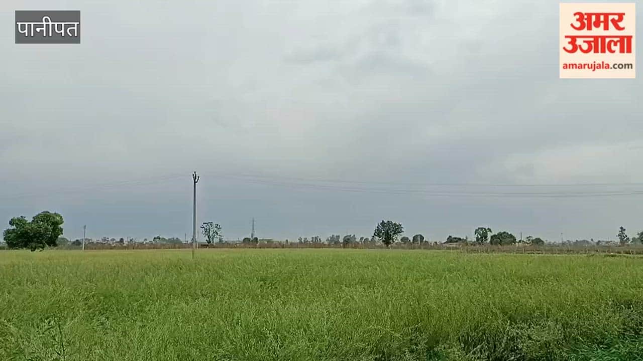 weather took a turn in Panipat; light drizzle occurred in the morning