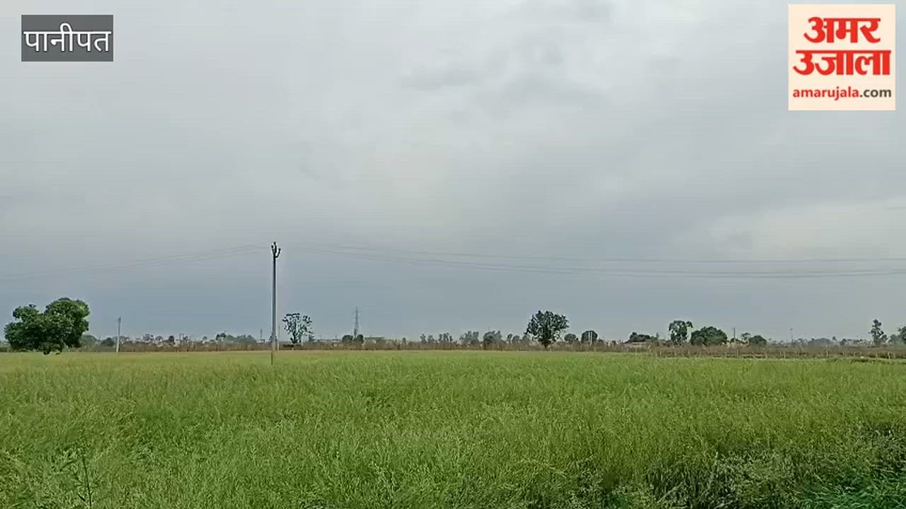 weather took a turn in Panipat; light drizzle occurred in the morning