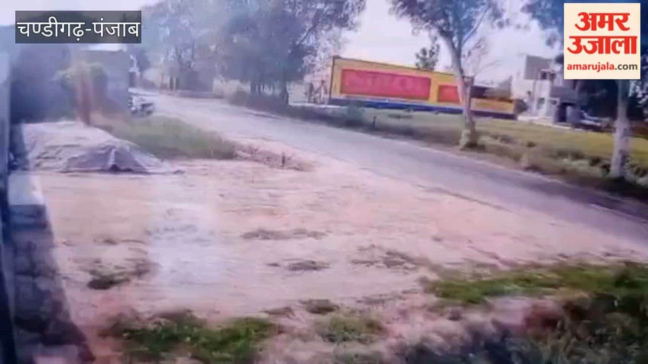 car went out of control and crashed into a tree