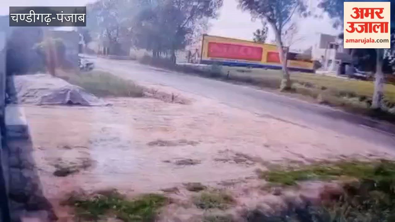 car went out of control and crashed into a tree