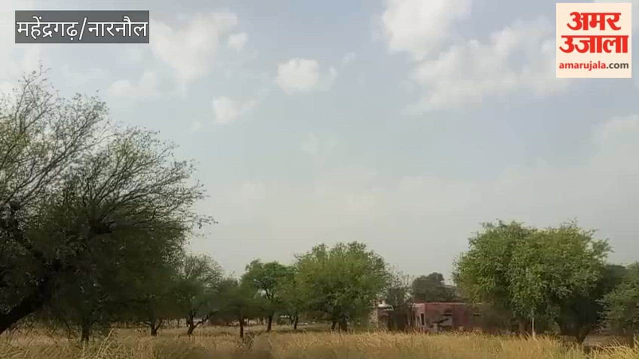 Light drizzle occurred in the Narnaul region this morning; farmers are concerned about the mustard crop