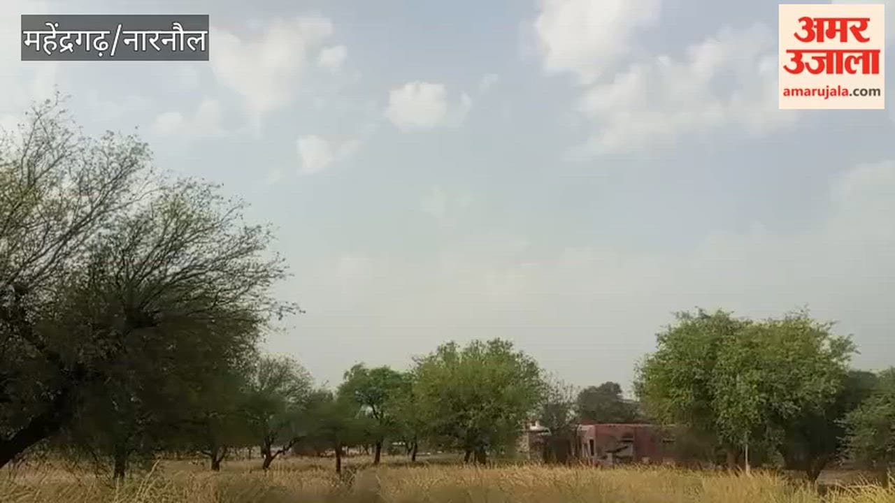 Light drizzle occurred in the Narnaul region this morning; farmers are concerned about the mustard crop