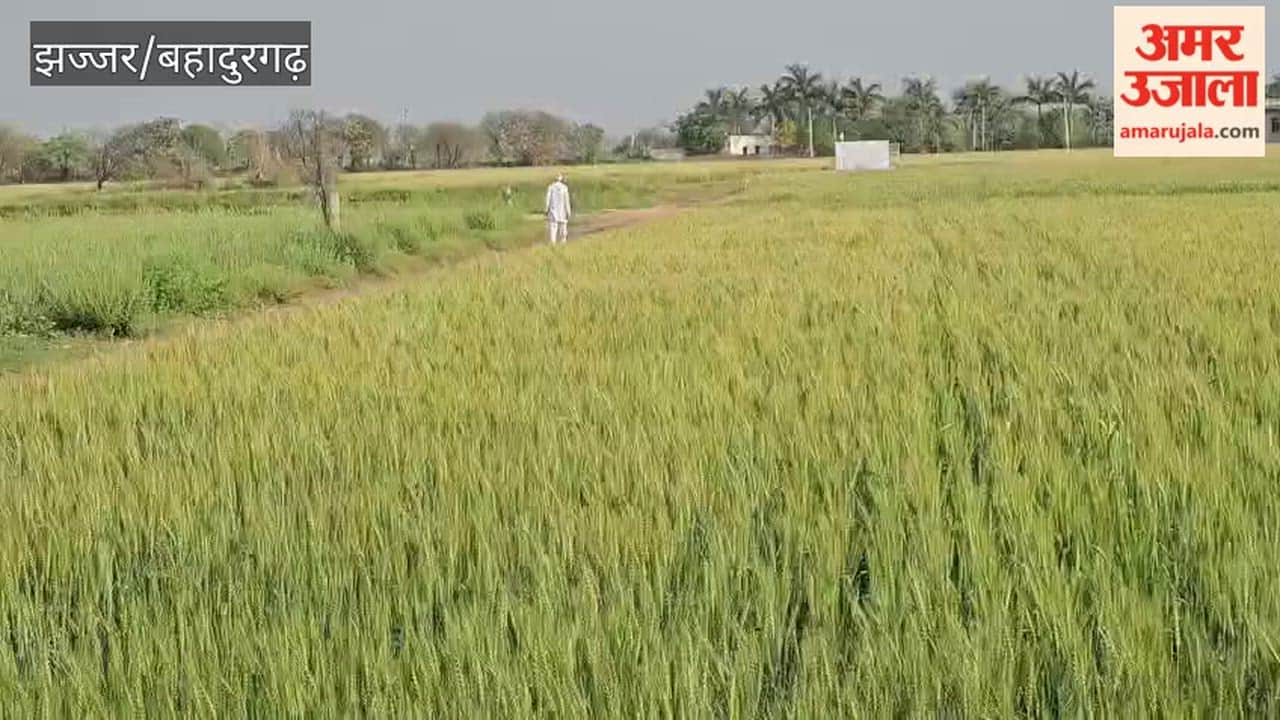 Farmers in Badli, Bahadurgarh, are concerned following a strong gusty wind and light drizzle at 4 a.m.