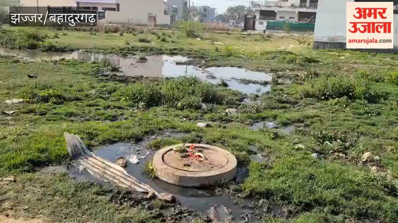 Waterlogging in Bahadurgarh's Sector-2 Due to Broken Sewer Tank; Residents Demand Permanent Solution