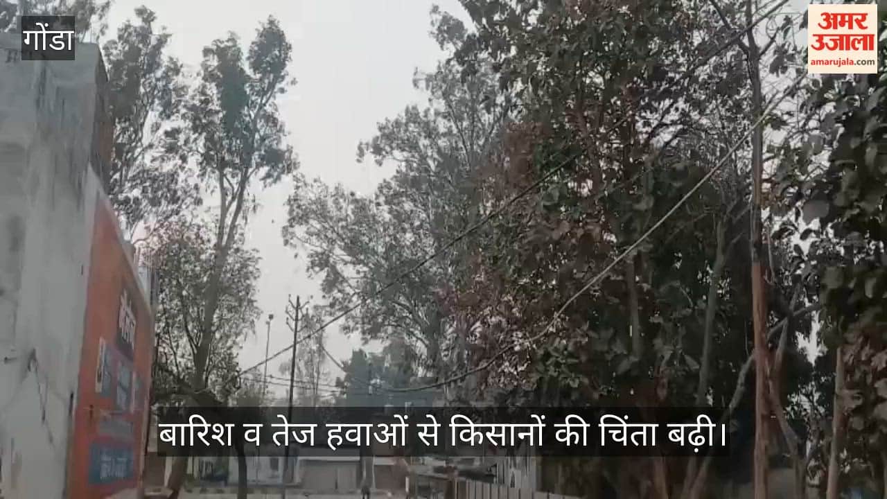 गोंडा में बदला मौसम का मिजाज, बारिश व तेज हवाओं से किसानों की चिंता बढ़ी