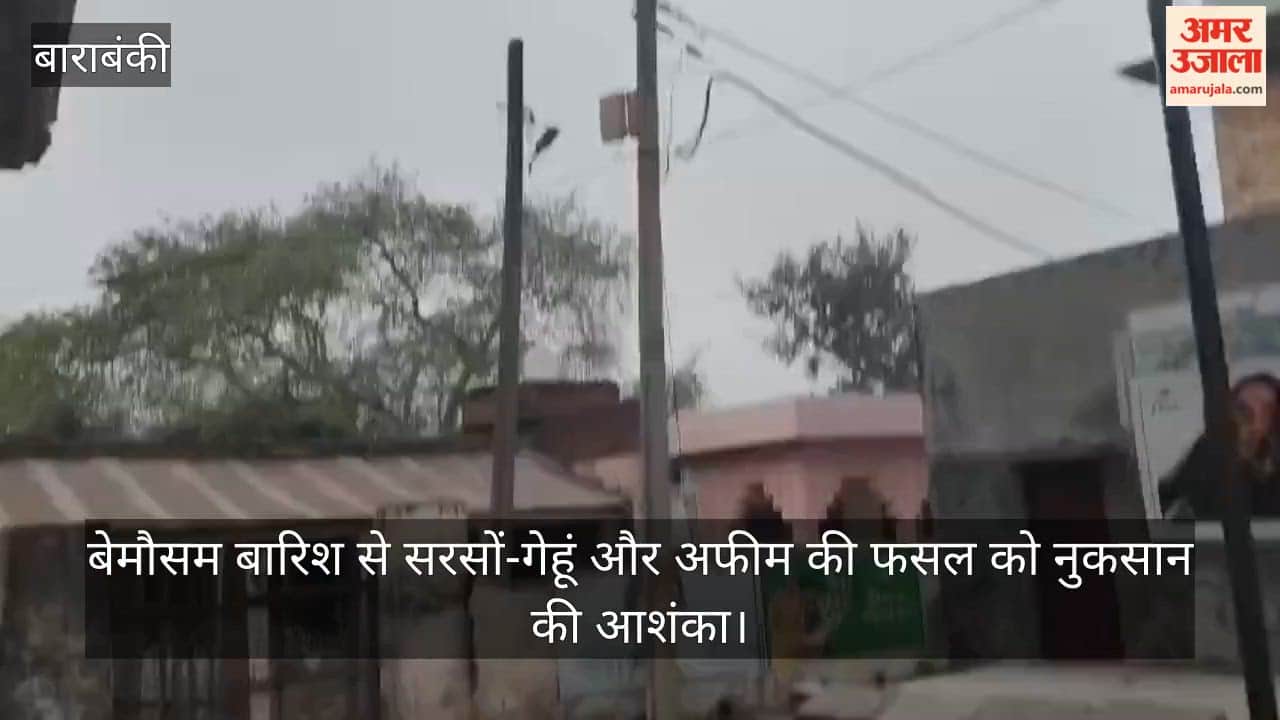 बाराबंकी में बेमौसम बारिश से सरसों-गेहूं और अफीम की फसल को नुकसान की आशंका