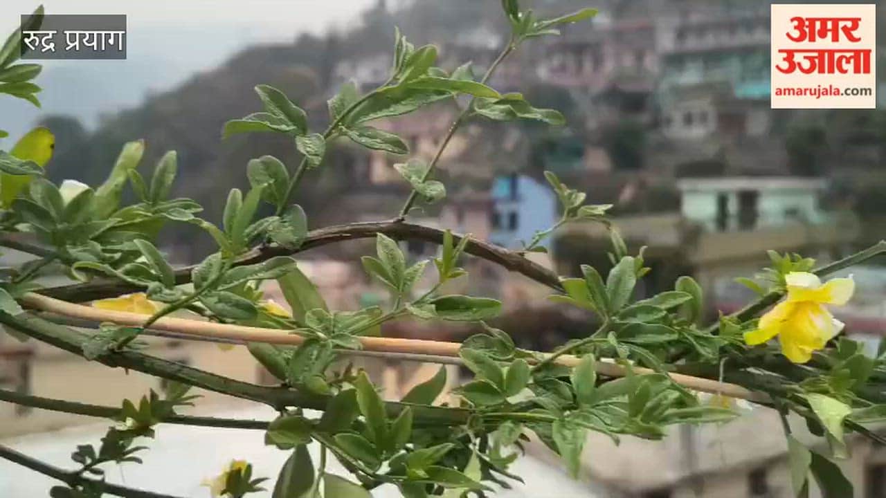 Rudraprayag: Weather Takes a Turn; Drizzle Intensifies the Cold