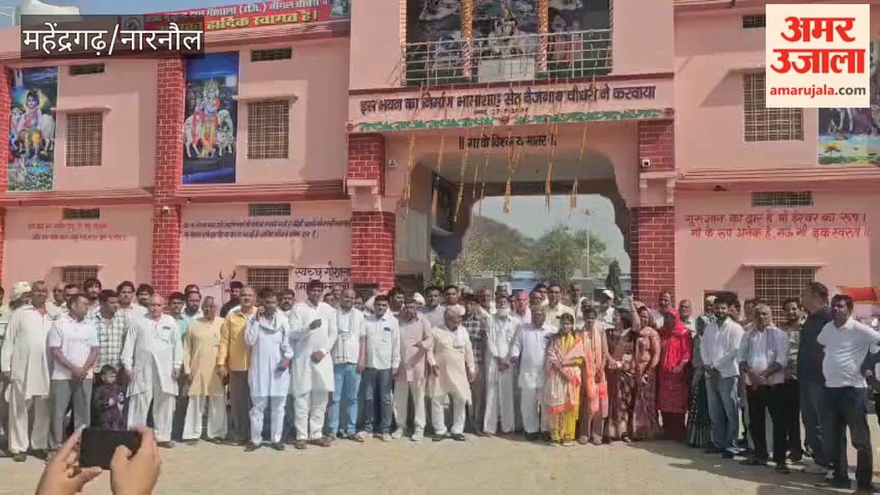 Dr. Abhay Singh Yadav's birthday was celebrated at a cowshed in Narnaul.