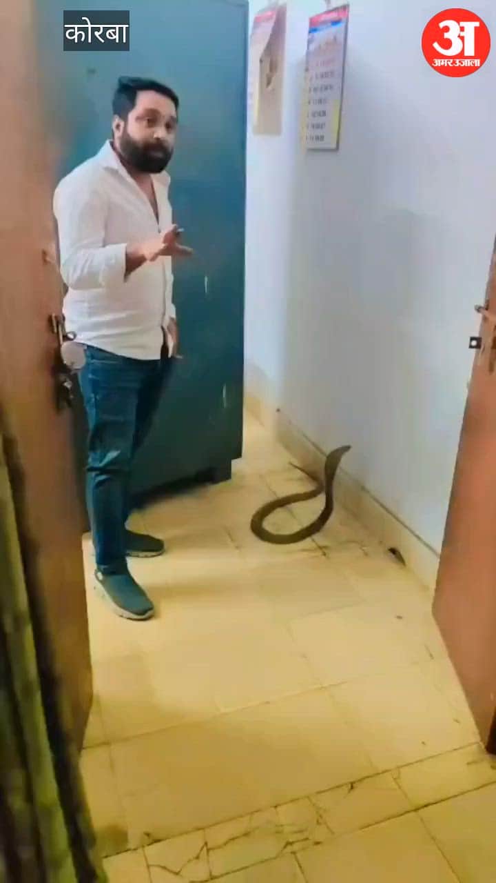 Venomous Snake Coils Up Inside Police Lines Office in Korba