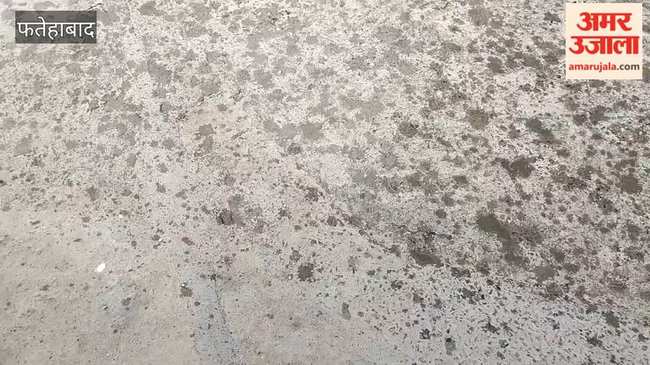 Hail accompanied by rain fell in Tohana, Fatehabad, during the afternoon.