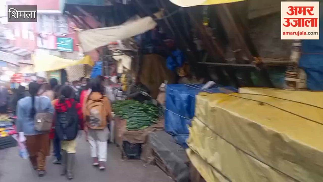 Shimla: Kachnar arrives at the vegetable market for sale; priced at ₹140 per kilogram