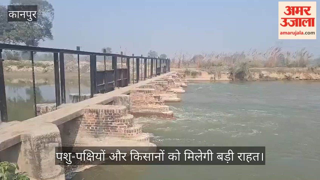 कानपुर: भीषण गर्मी से पहले लबालब हुई रामगंगा नहर; भीतरगांव से फतेहपुर की ओर बढ़ी जलधारा