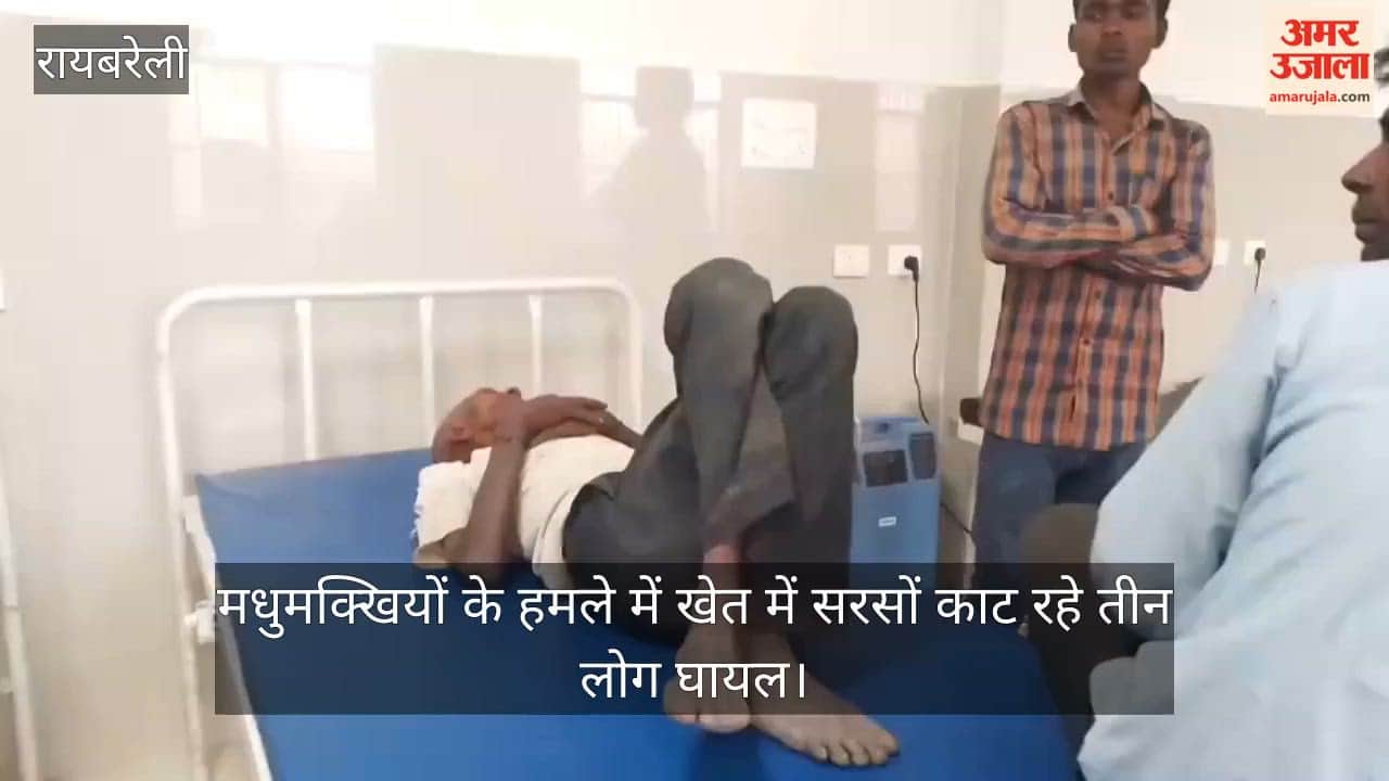 रायबरेली में मधुमक्खियों के हमले में खेत में सरसों काट रहे तीन लोग घायल