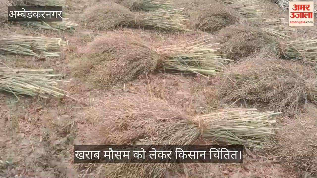 अंबेडकरनगर में खराब मौसम को लेकर किसान चिंतित