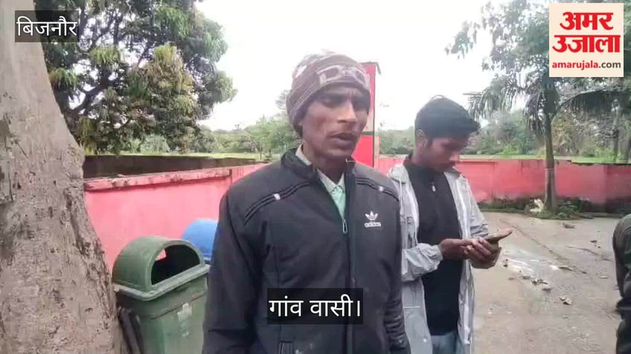 10 year old girl dies in leopard attack in Bijnor