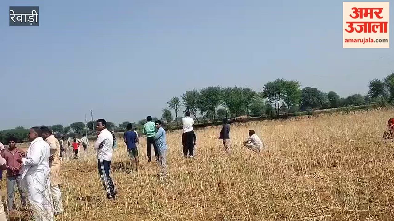 Mustard crop stolen from the field