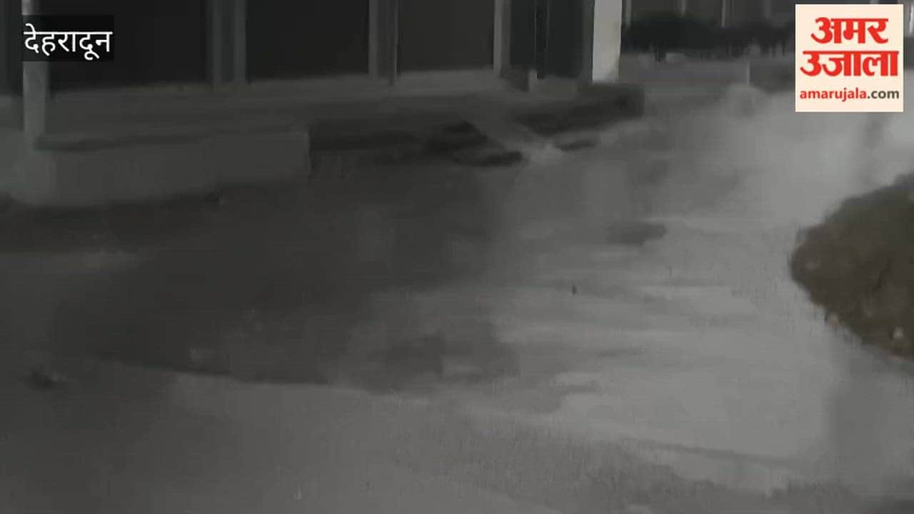 VIDEO: Heavy showers accompanied by strong winds begin in Jolly Grant