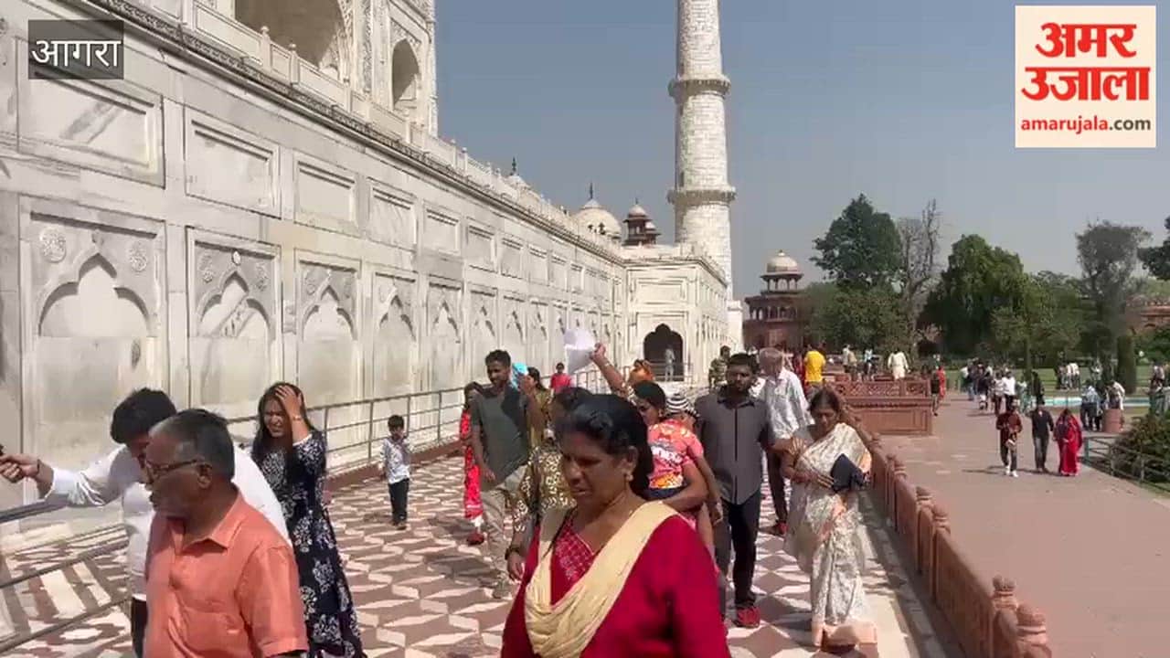 Honeybees Attack Tourists at the Taj Mahal