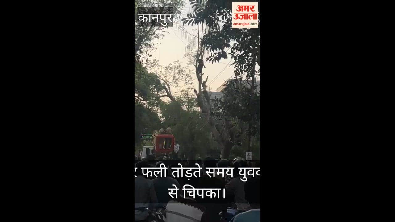 Kanpur Youth dies after coming into contact with 11,000 volt high tension line