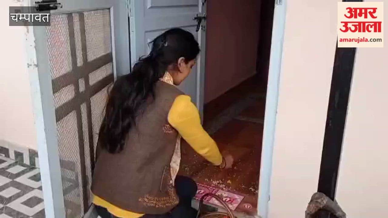 Phooldei festival was celebrated with great pomp in Lohaghat city and rural areas