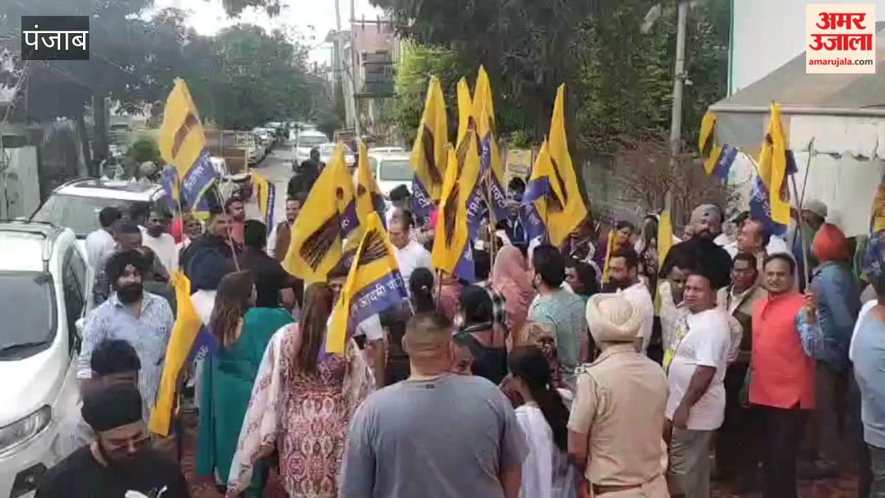 Aam Aadmi Party's Constituency In-charge Stages Unique Protest in Phagwara