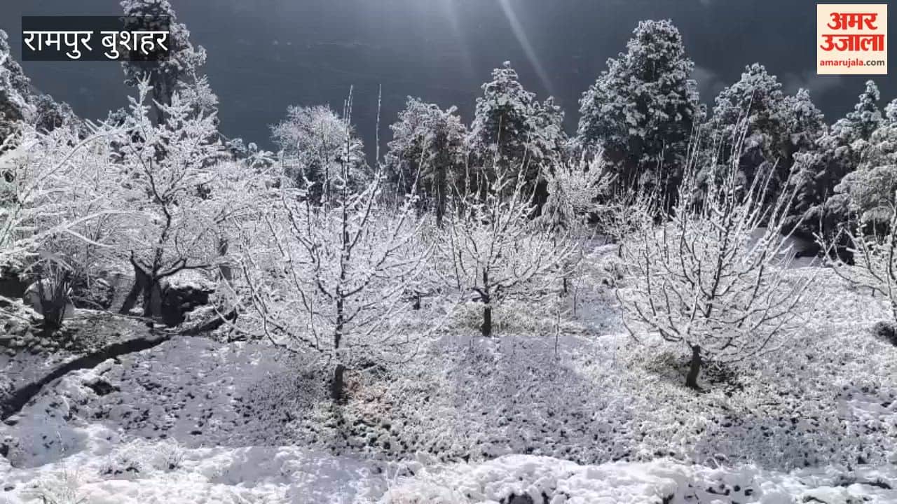 tribal district Kinnaur lies blanketed in a sheet of white snow, while Kalpa village and the peaks of Kinnaur Kailash shimmer like silver