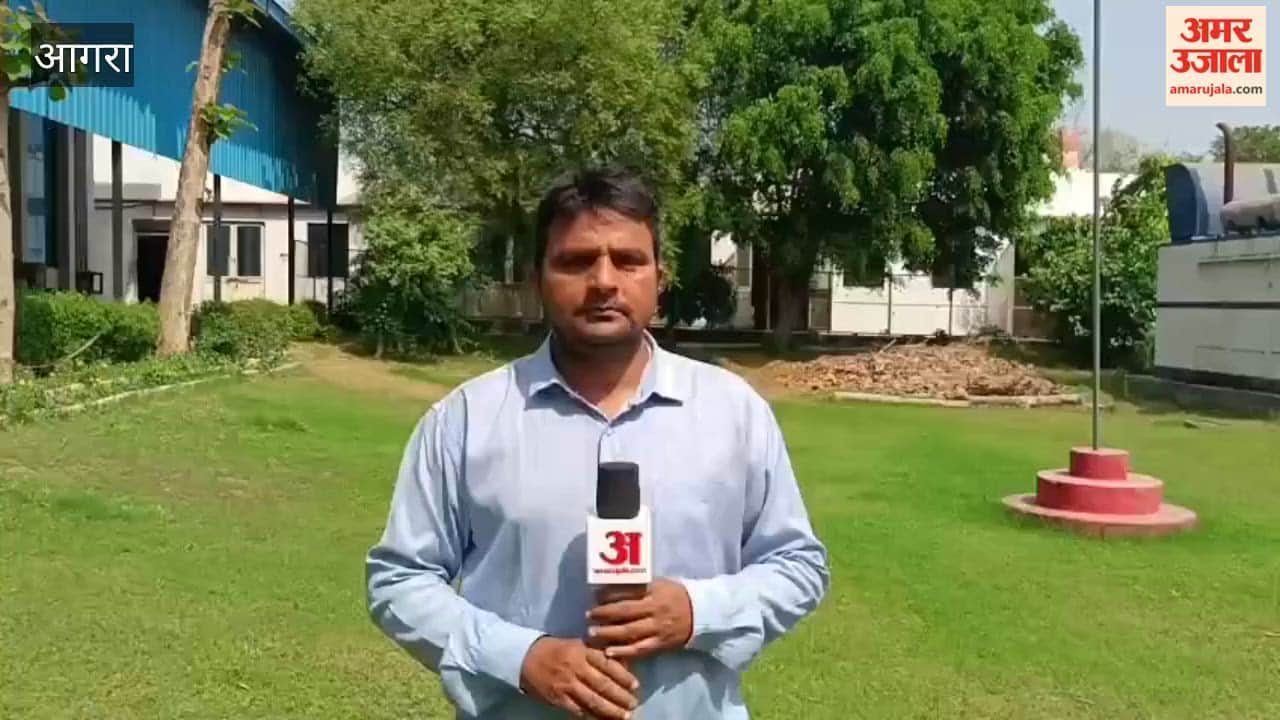 LPG Shortage Pushes Households Back to Traditional Wood Stoves