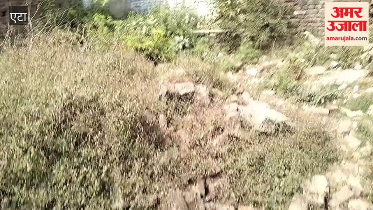 Thieves Break Wall to Rob Liquor Shop