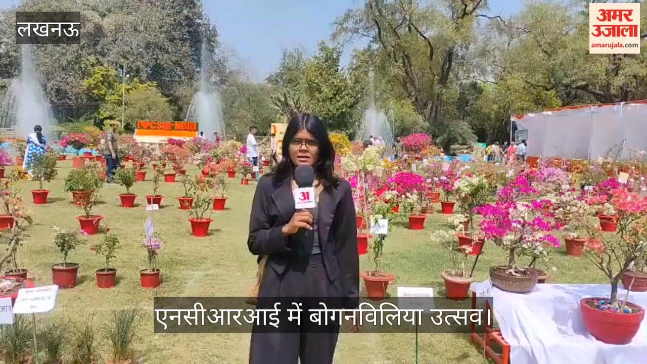 एनसीआरआई में बोगनविलिया उत्सव: धूप में बसती हैं इन फूलों की जान, जितनी धूप उतनी बढ़ती चमक; जानें वैज्ञानिकों की राय