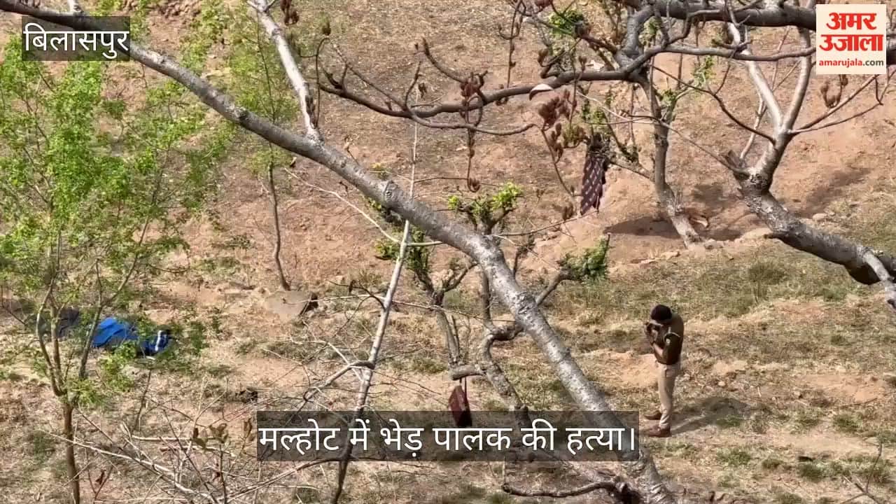 Bilaspur: Sheep Herder Murdered in Malhot; Hacked to Death with an Axe Blow to the Neck