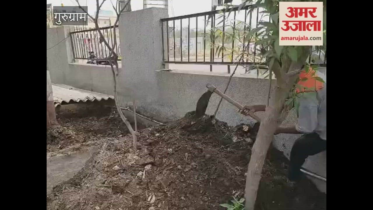 Organic Compost Made from Leaves in Gurugram video
