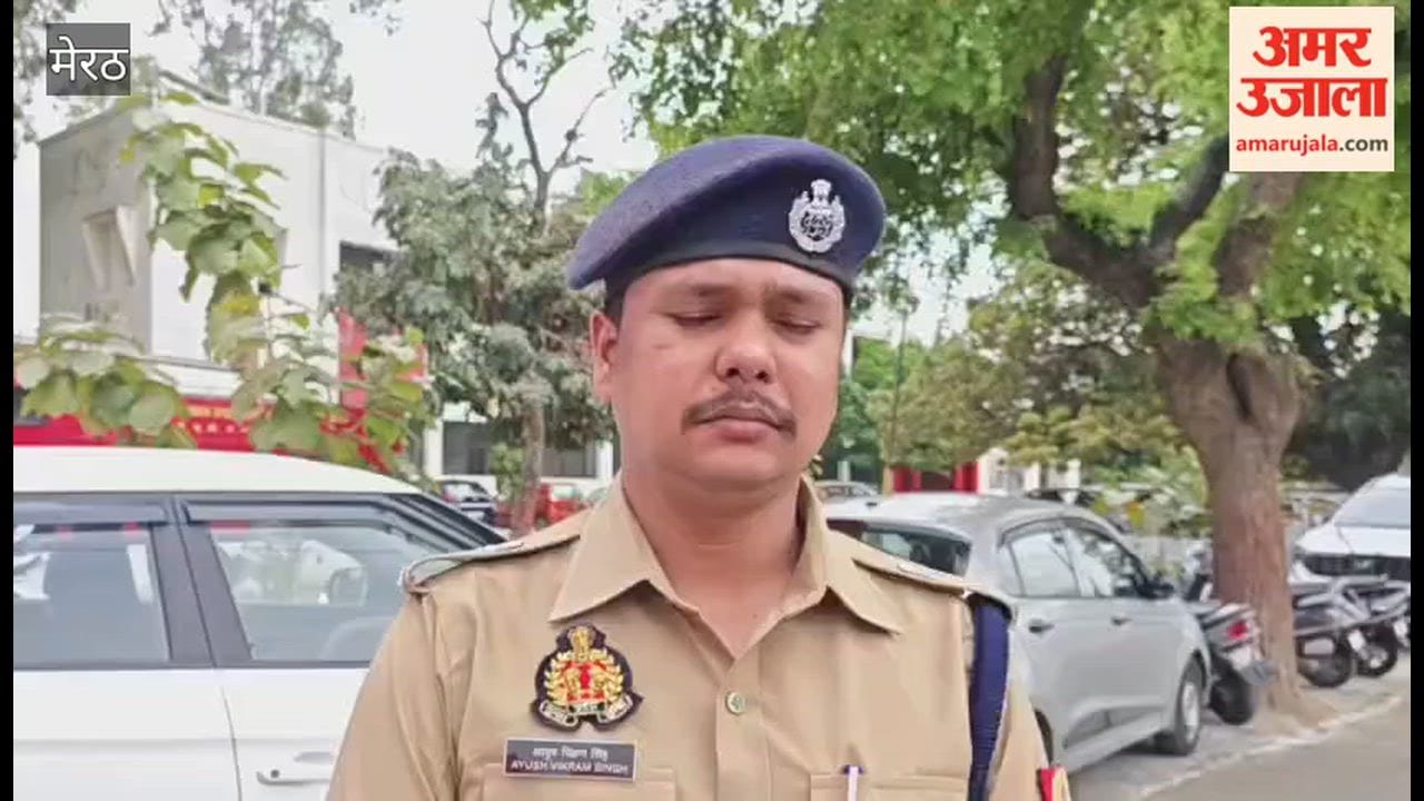 Meerut: Brawl Erupts After Drinking; Son Crushes Father to Death with a Brick, Arrested