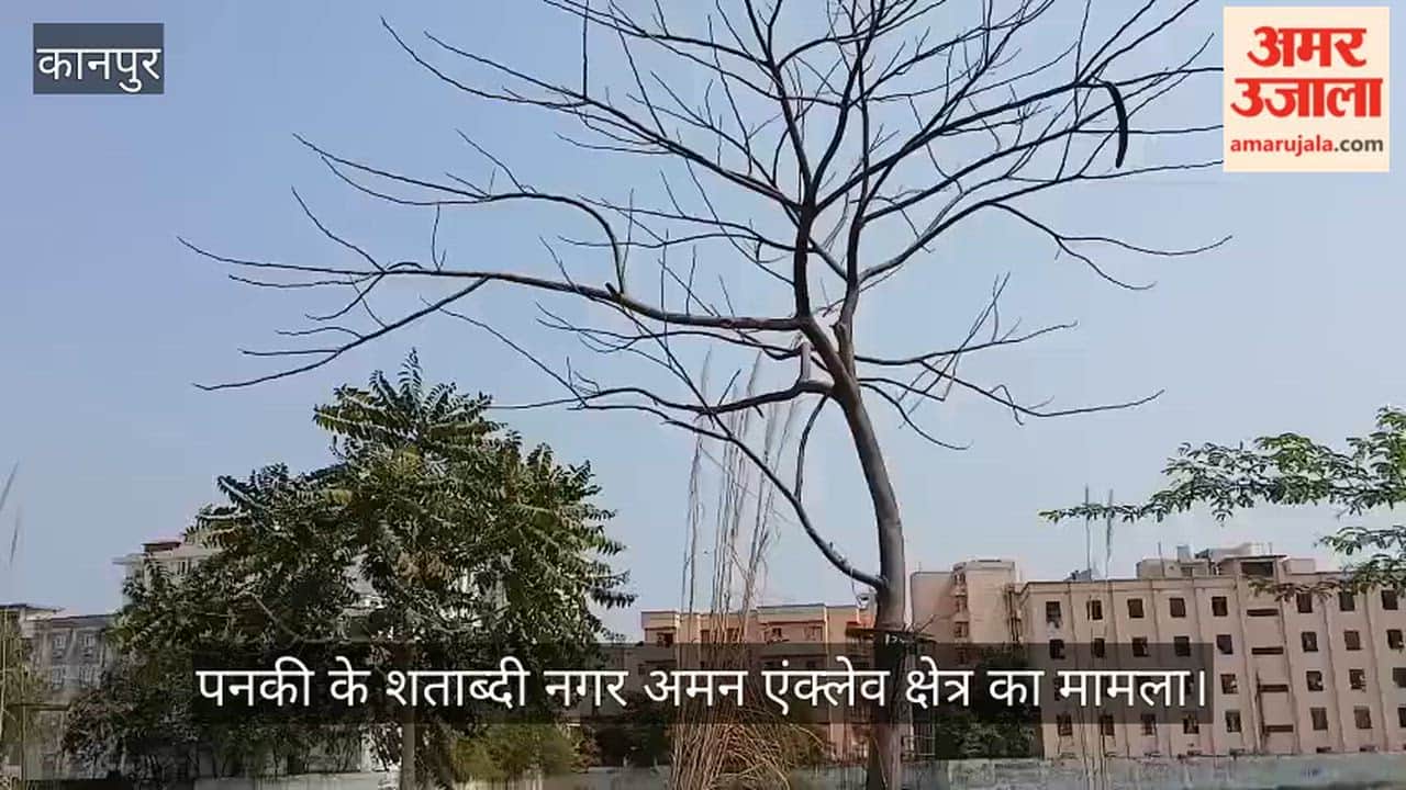 Kanpur Thousands of Saplings Wither in Shatabdi Nagar Green Belt Plantation Drive Proves Futile