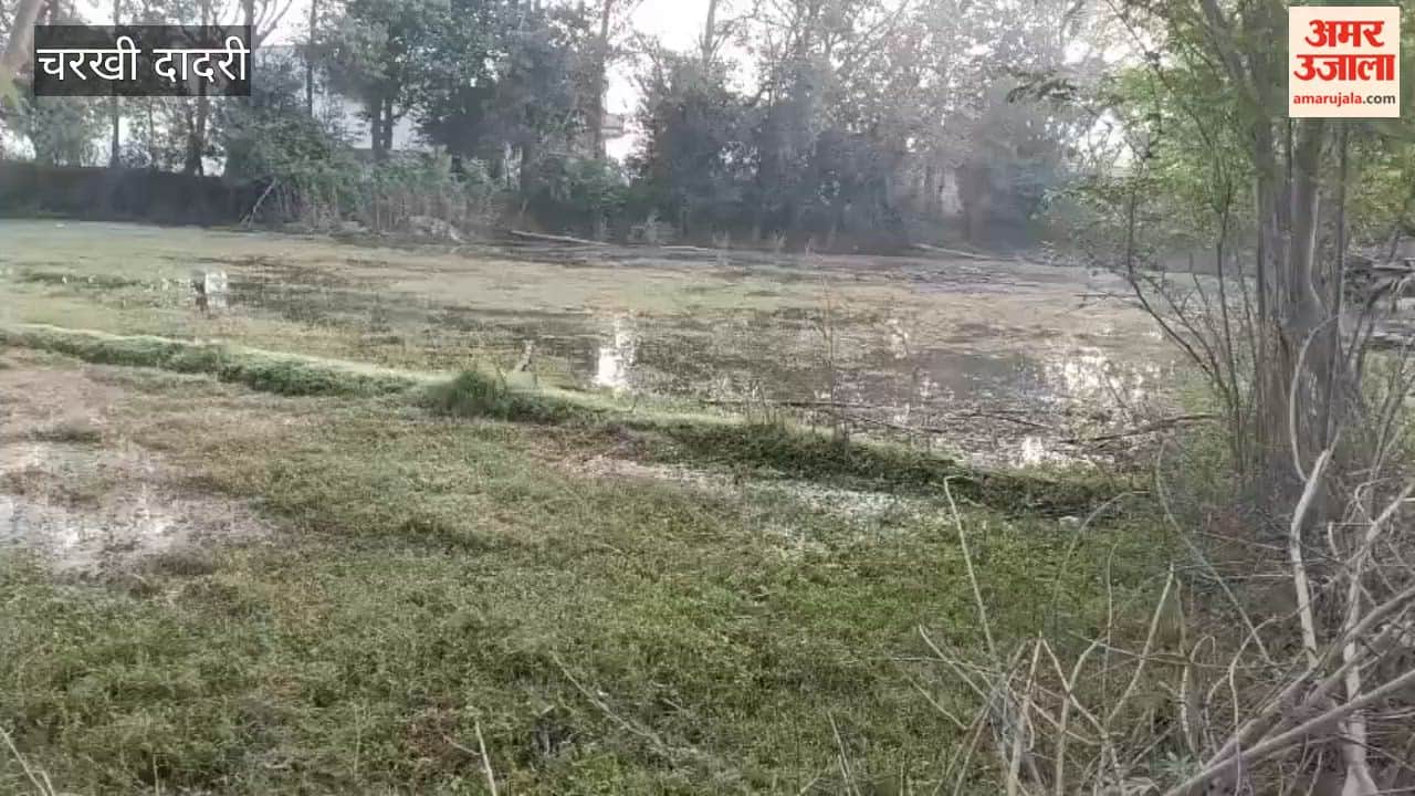 Water filling the fields from overflow minor