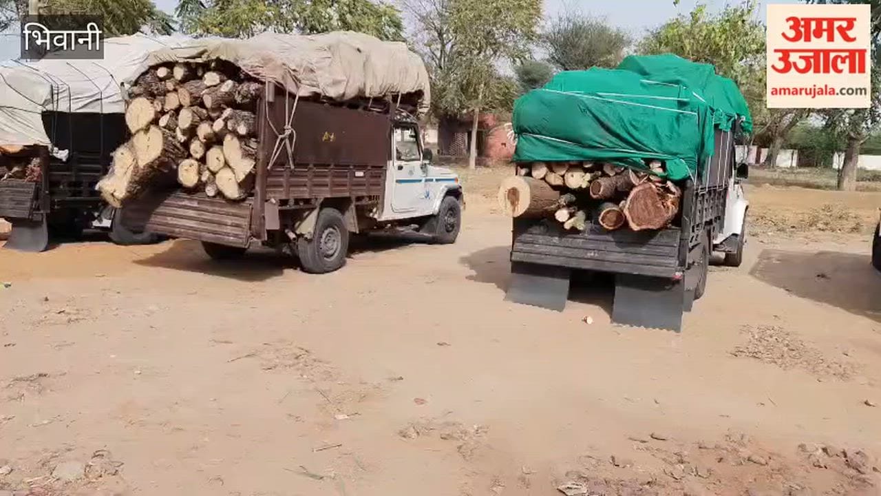 Special police check post in Loharu