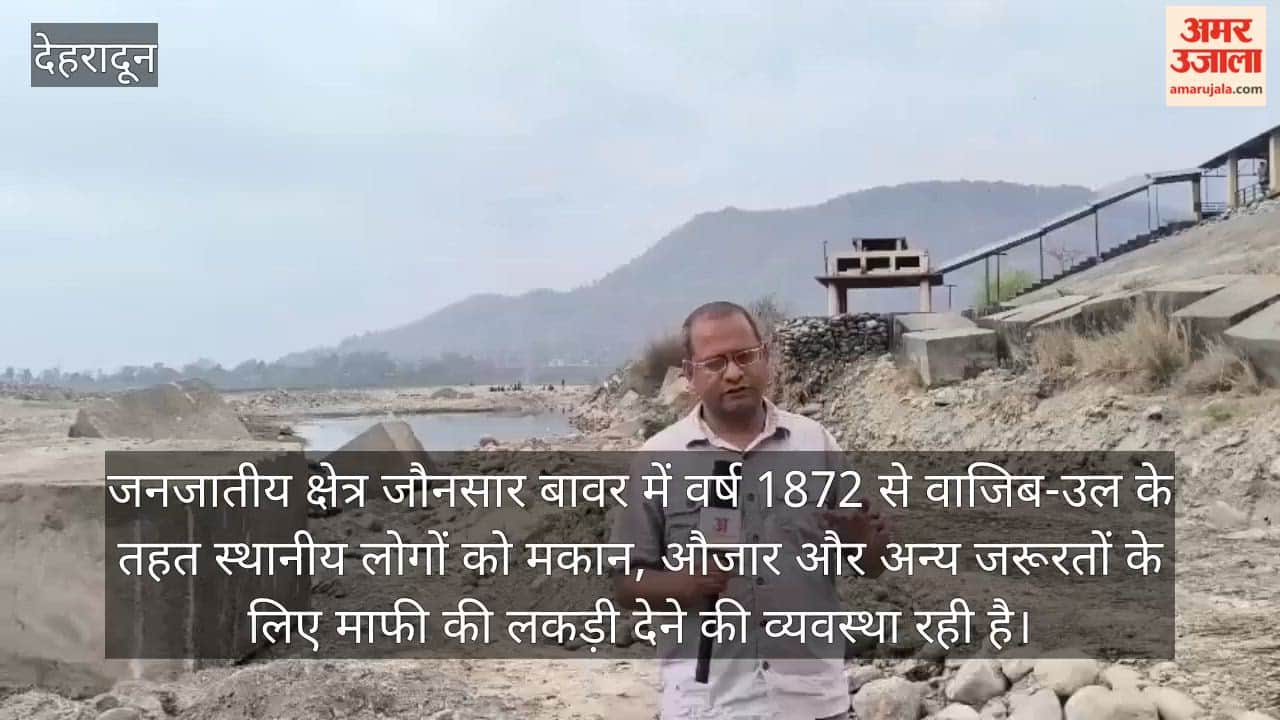 Ban on Maafi Timber Exacerbates Hardships in Tribal Regions Vikasnagar News