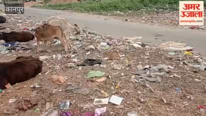 Kanpur: Villagers in Chaubepur's Panchmapur Troubled by Filth and Foul Odor