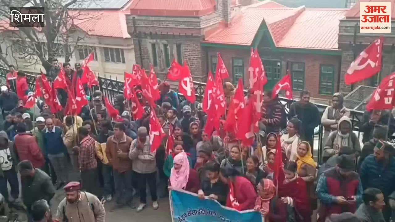 Shimla Over 650 SAHEB employees including supervisors, go on strike; stage protest outside Deputy Commissioner's office