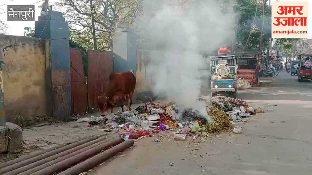 Garbage Burning Continues in City Despite Ban