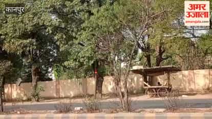 Kanpur: Green Belt Saplings Withering Due to Lack of Water