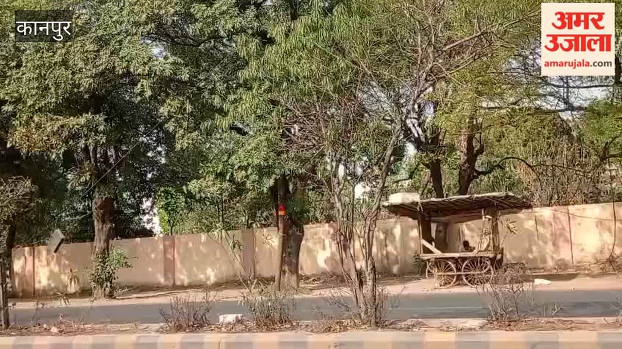 Kanpur: Green Belt Saplings Withering Due to Lack of Water