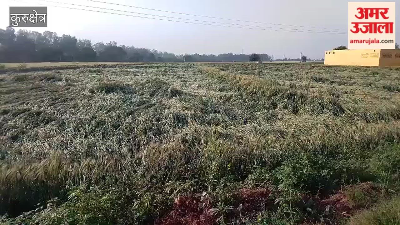 Rain in Kurukshetra