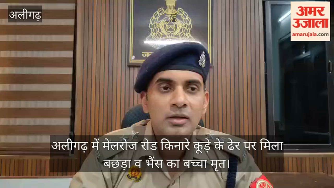 अलीगढ़ में मेलरोज रोड किनारे कूड़े के ढेर पर मिला बछड़ा व भैंस का बच्चा मृत