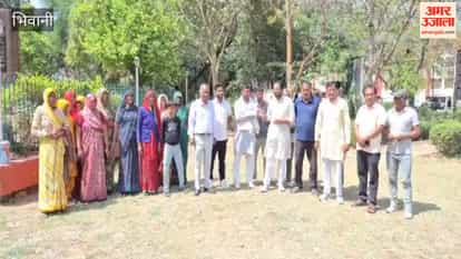 rainwater in the fields