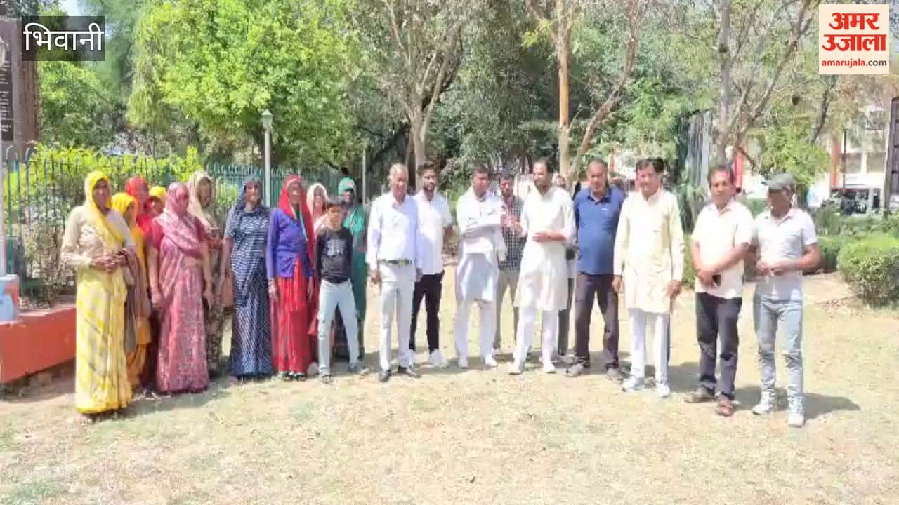 rainwater in the fields