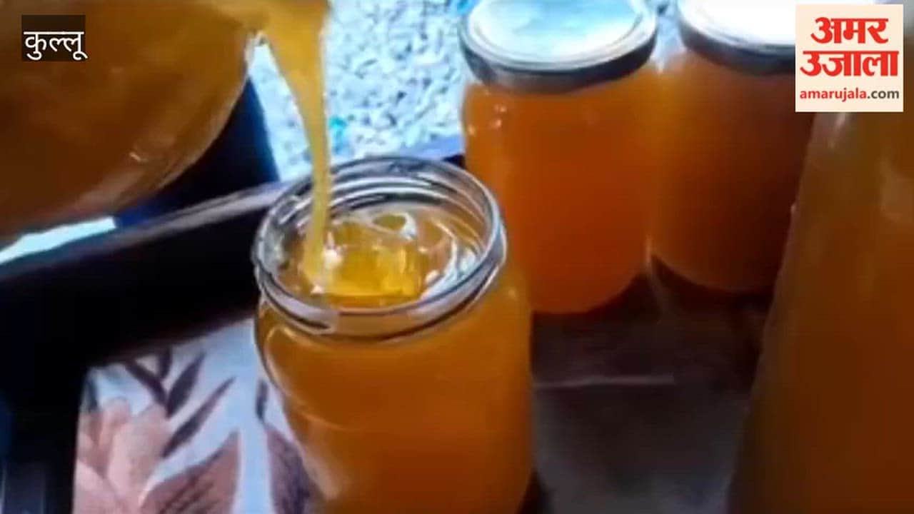 Kullu Change Began Where Restrictions Existed Hara Dasi Transformed the Destiny of Women