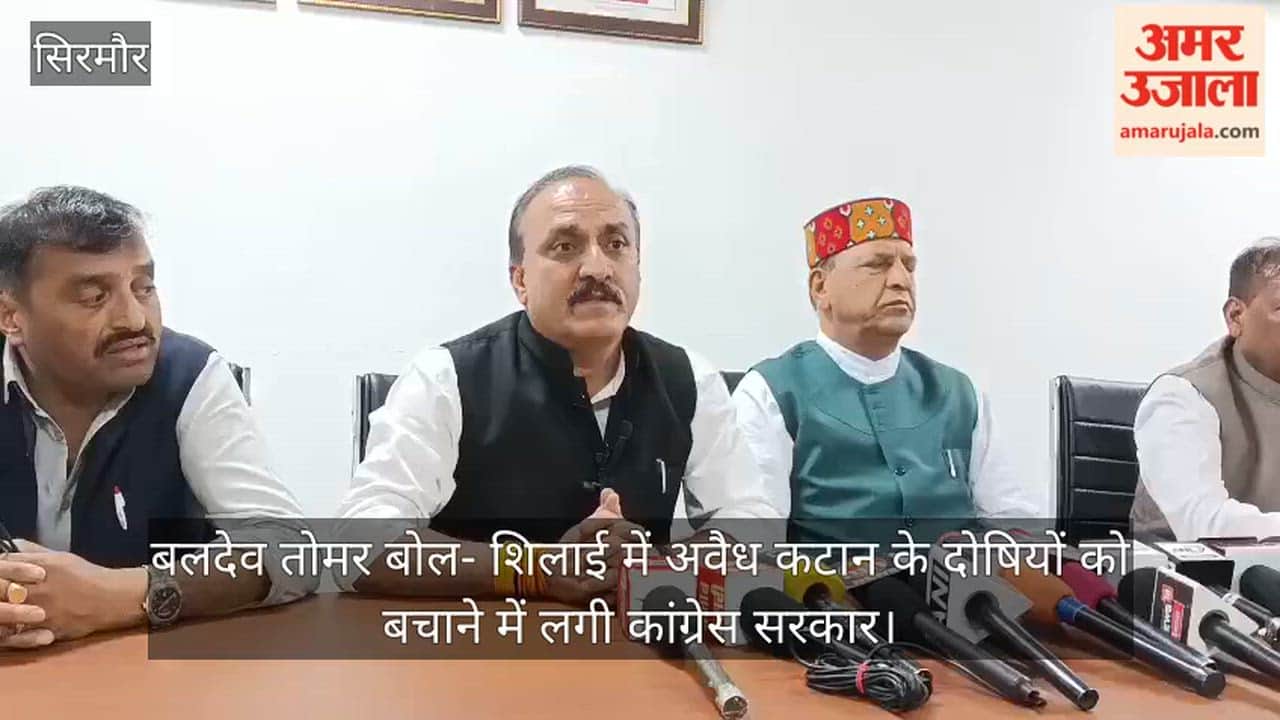 Baldev Tomar Alleges — Congress Government Engaged in Shielding Those Guilty of Illegal Felling in Shillai