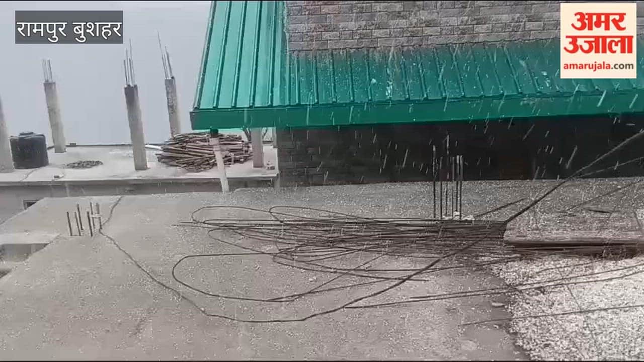 Rampur Bushahr Hailstorm Accompanies Rain in Nog Valley Gardeners Hardships Intensify